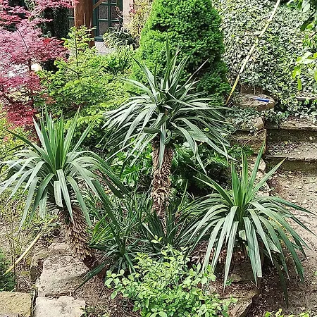 Casa Nel Bosco Apartment *